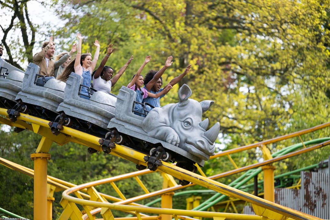 West Midlands Safari Park | Giraffe Jamboree - image 3