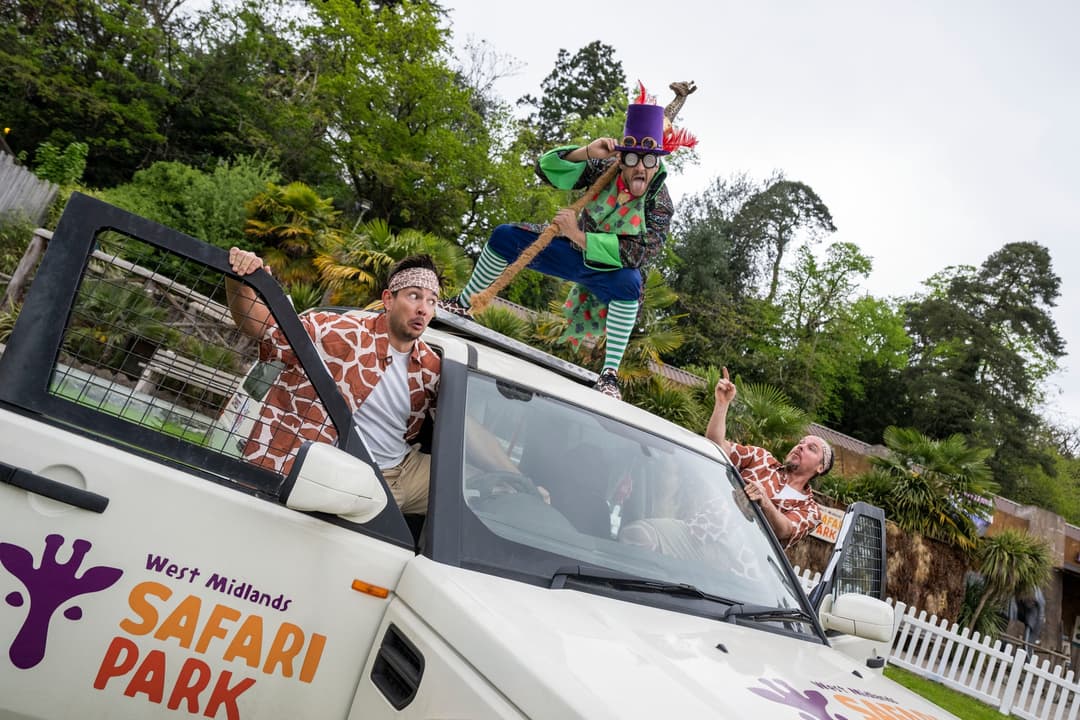 West Midlands Safari Park | Giraffe Jamboree - image 4